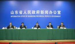 山东省新闻爆料投诉找谁,揭秘维权新途径