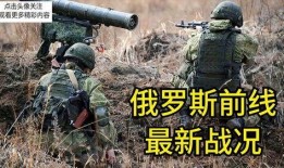 中俄最新局势爆料,深度合作与战略互信再升级